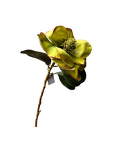 Cargar imagen en el visor de la galería, MAGNOLIA MEDIANA VERDE Y HOJAS

