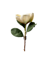 Cargar imagen en el visor de la galería, MAGNOLIA MEDIANA BLANCA Y HOJAS
