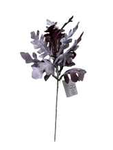 Cargar imagen en el visor de la galería, CINERARIA UVA 44 CM
