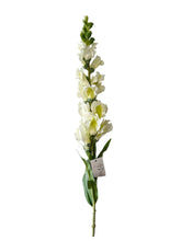 Cargar imagen en el visor de la galería, FLOR BOCA DE DRAGON BLANCA
