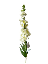Cargar imagen en el visor de la galería, FLOR BOCA DE DRAGON BLANCA
