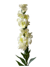 Cargar imagen en el visor de la galería, FLOR BOCA DE DRAGON BLANCA

