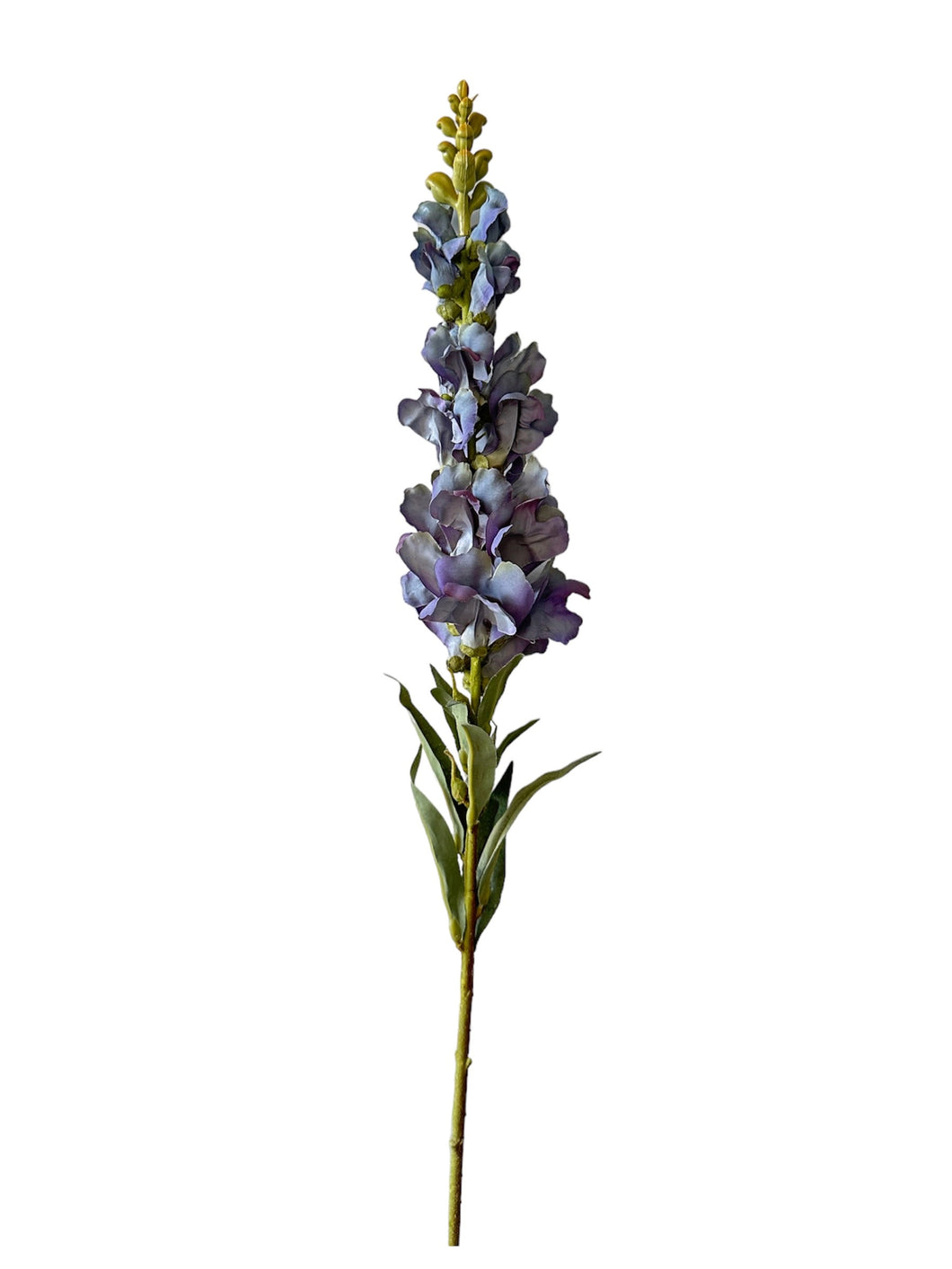 FLOR BOCA DE DRAGON AZUL