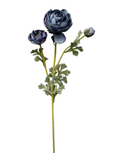 Cargar imagen en el visor de la galería, RANUCULUS AZUL

