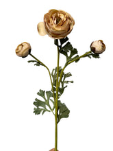 Cargar imagen en el visor de la galería, RANUCULUS CREMA
