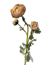 Cargar imagen en el visor de la galería, RANUCULUS CREMA
