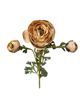 Cargar imagen en el visor de la galería, RANUCULUS CREMA
