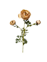 Cargar imagen en el visor de la galería, RANUCULUS CREMA
