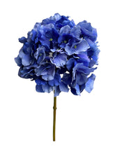 Cargar imagen en el visor de la galería, HORTENCIA PRIMAVERA AZUL FUERTE
