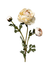 Cargar imagen en el visor de la galería, RANUNCULUS BLANCA
