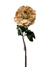 Cargar imagen en el visor de la galería, PEONIA CREMA 75 CM

