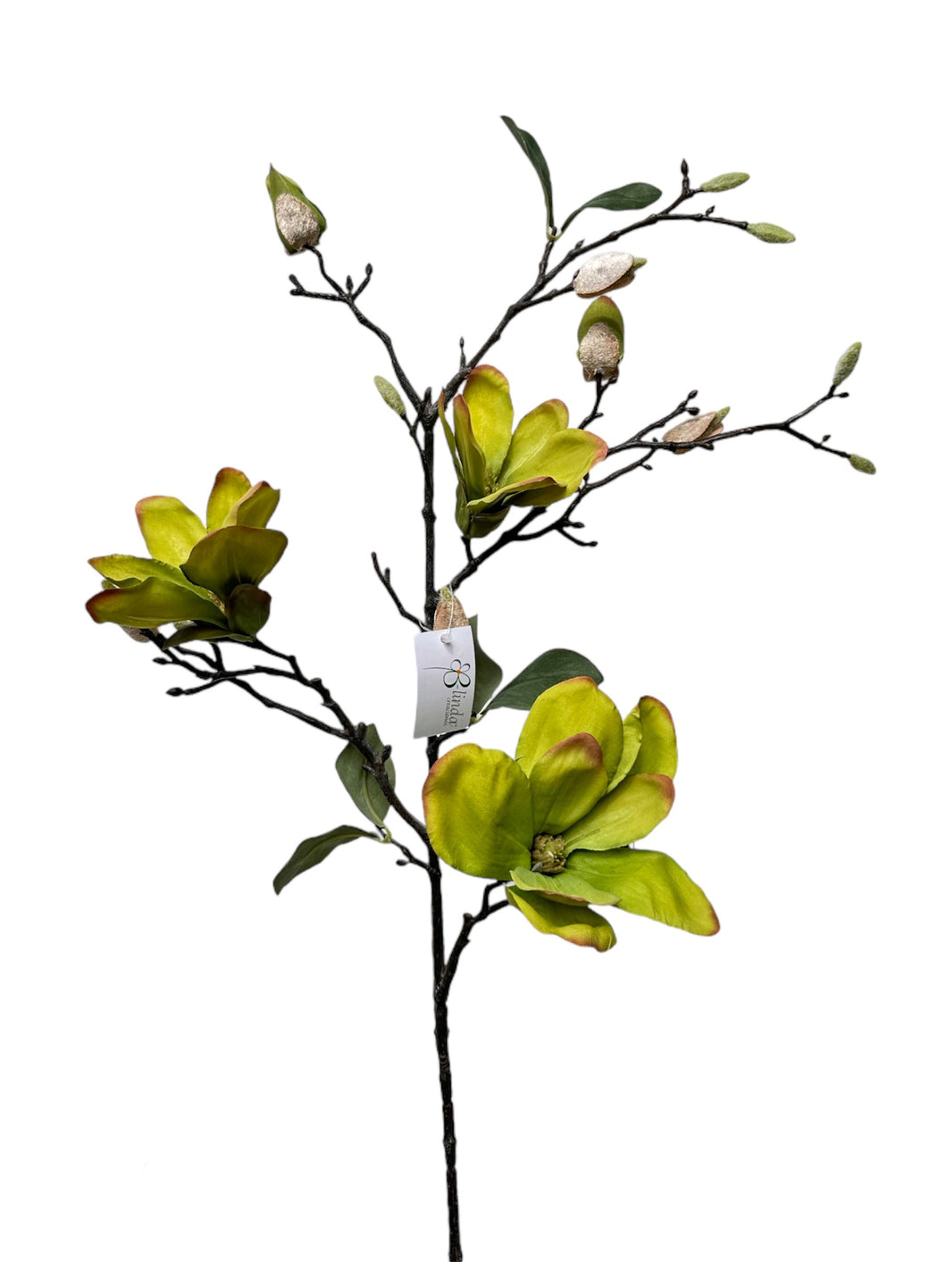 VARA MAGNOLIAS VERDE