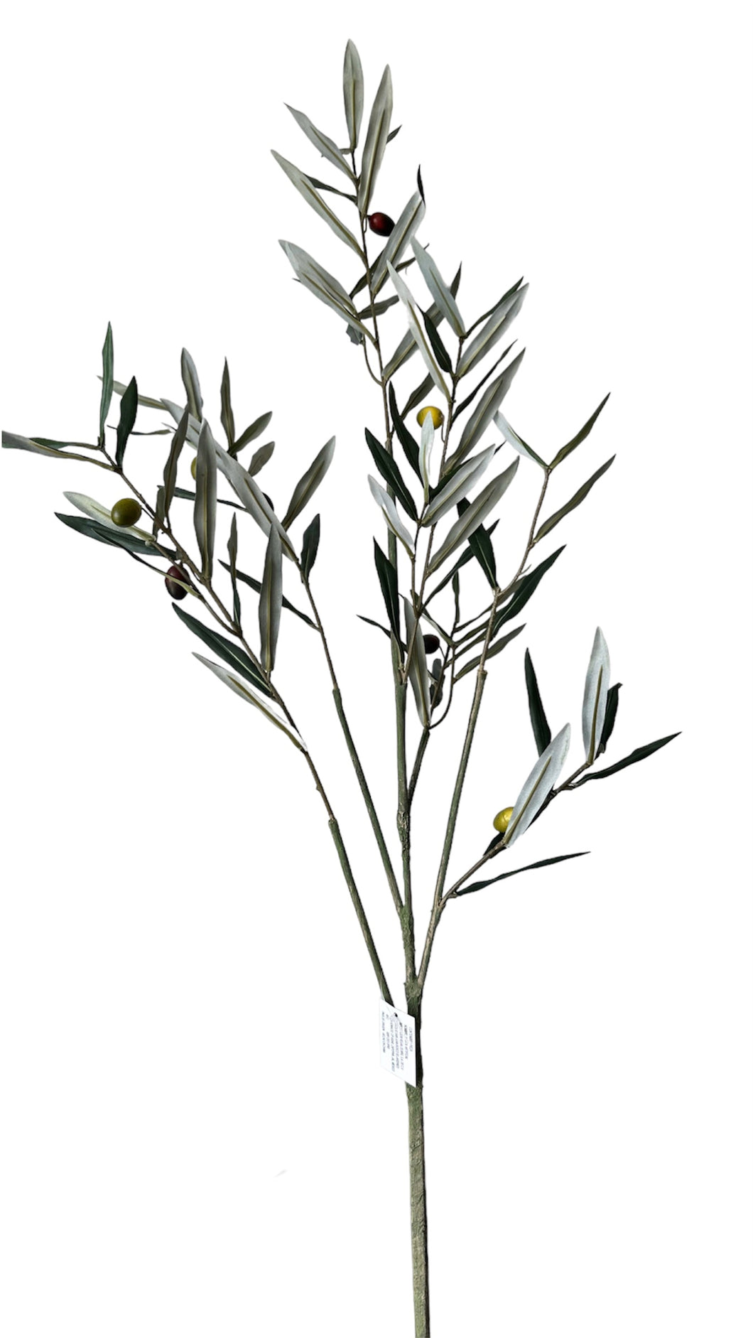 RAMA DE OLIVO 120 CM