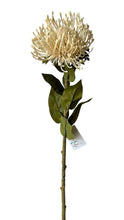 Cargar imagen en el visor de la galería, SPRAY PROTEA CREMA
