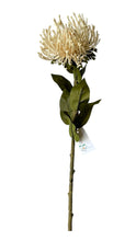 Cargar imagen en el visor de la galería, SPRAY PROTEA CREMA
