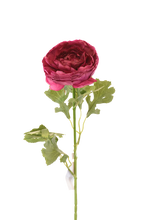 Cargar imagen en el visor de la galería, PEONIA ASIATICUS 68 CM
