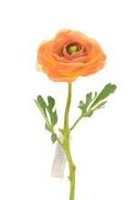 Cargar imagen en el visor de la galería, RANUCULUS SENCILLO 32 CM VERDE
