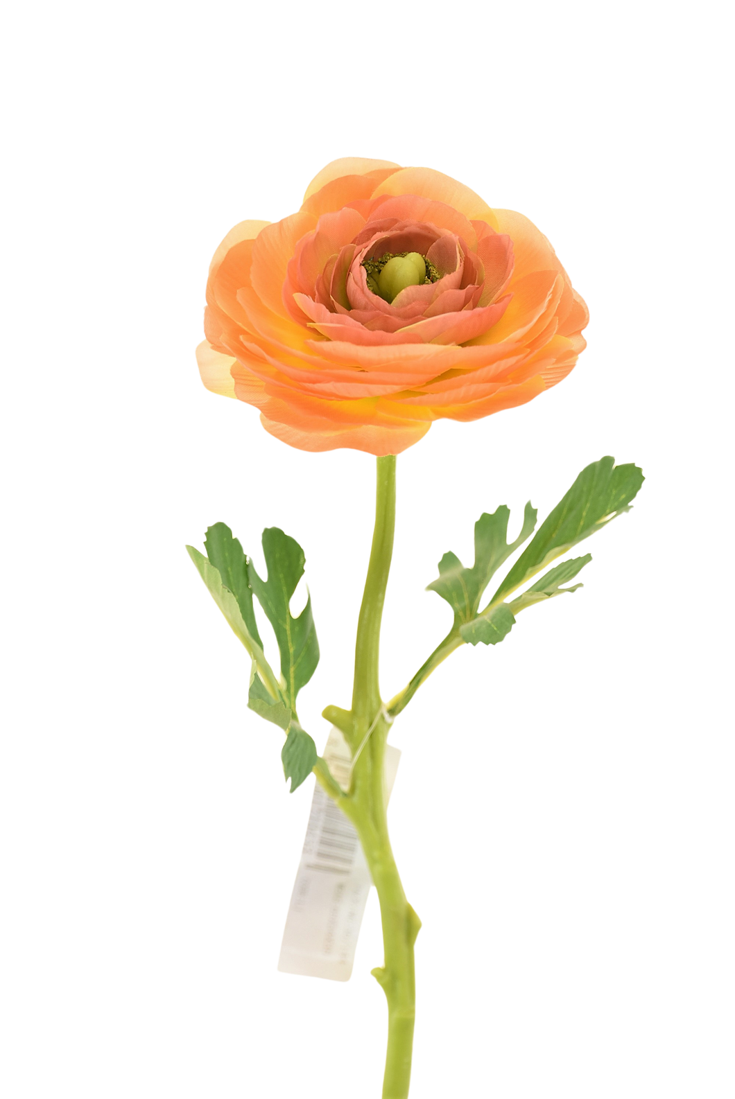 RANUCULUS SENCILLO 32 CM NARANJA