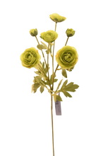 Cargar imagen en el visor de la galería, BUSH RANUNCULUS BLANCO
