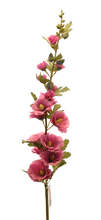 Cargar imagen en el visor de la galería, ALCEA ROSA FUERTE
