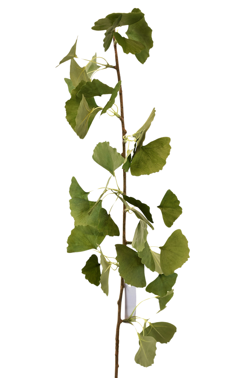 VARA GIKGO VERDE