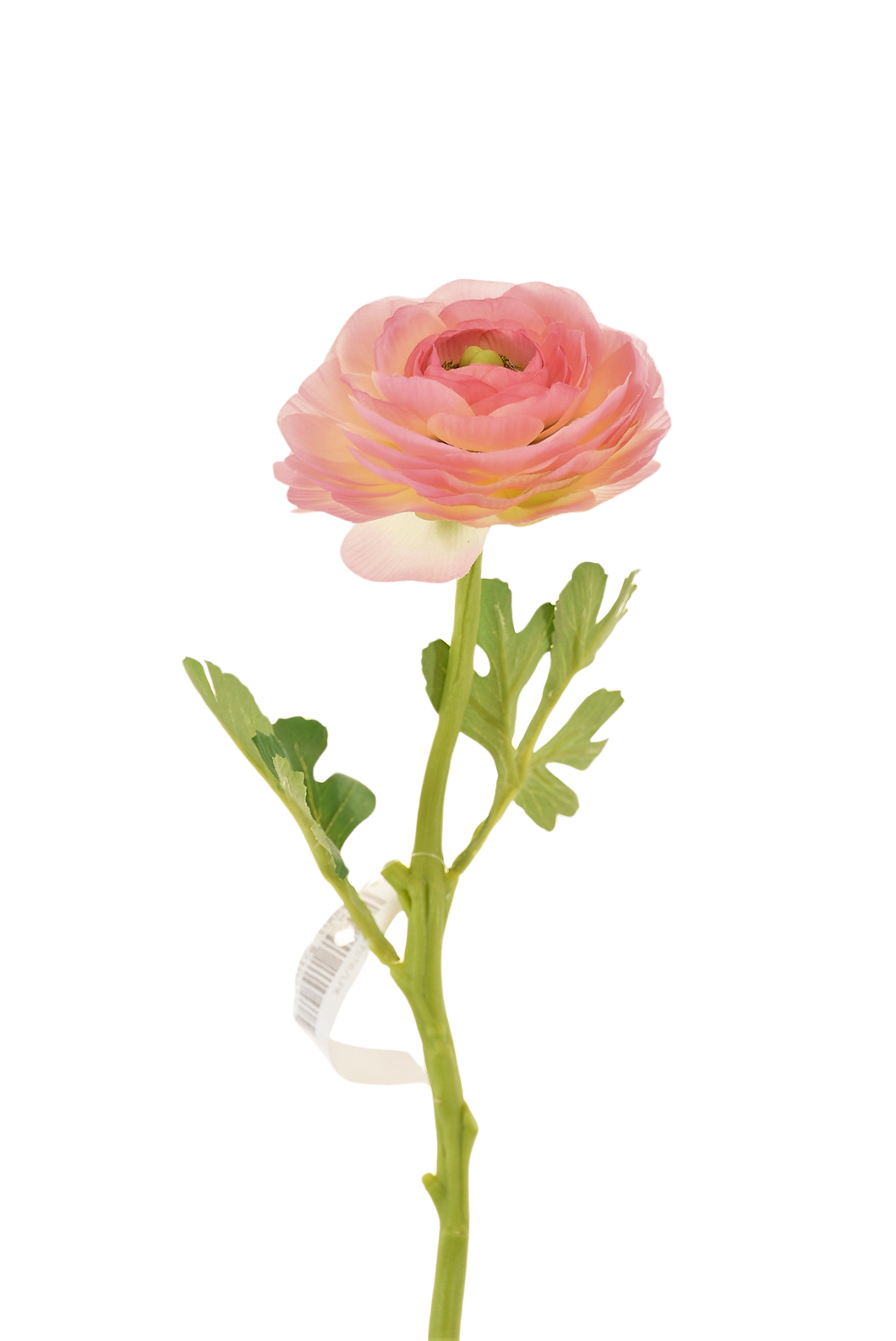 RANUCULUS SENCILLO 32 CM ROSA CLARITO