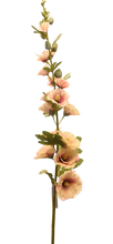 Cargar imagen en el visor de la galería, ALCEA ROSA FUERTE

