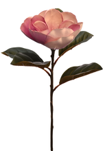 Cargar imagen en el visor de la galería, MAGNOLIA TOUCH GIGANTE BLANCA
