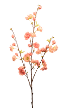 Cargar imagen en el visor de la galería, FLOR SAKURA VERDE
