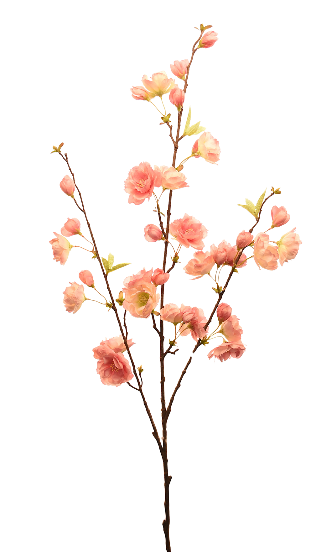 FLOR SAKURA ROSA CLARO