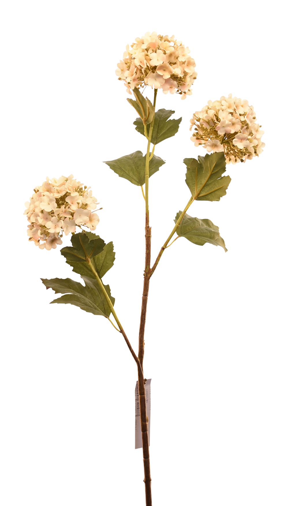 VARA HORTENSIA EN BOLA BLANCA