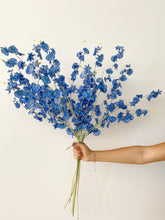 Cargar imagen en el visor de la galería, Orquidea Sencilla
