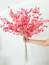 Cargar imagen en el visor de la galería, Orquidea Sencilla

