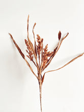 Cargar imagen en el visor de la galería, SORGO SECO CREMA
