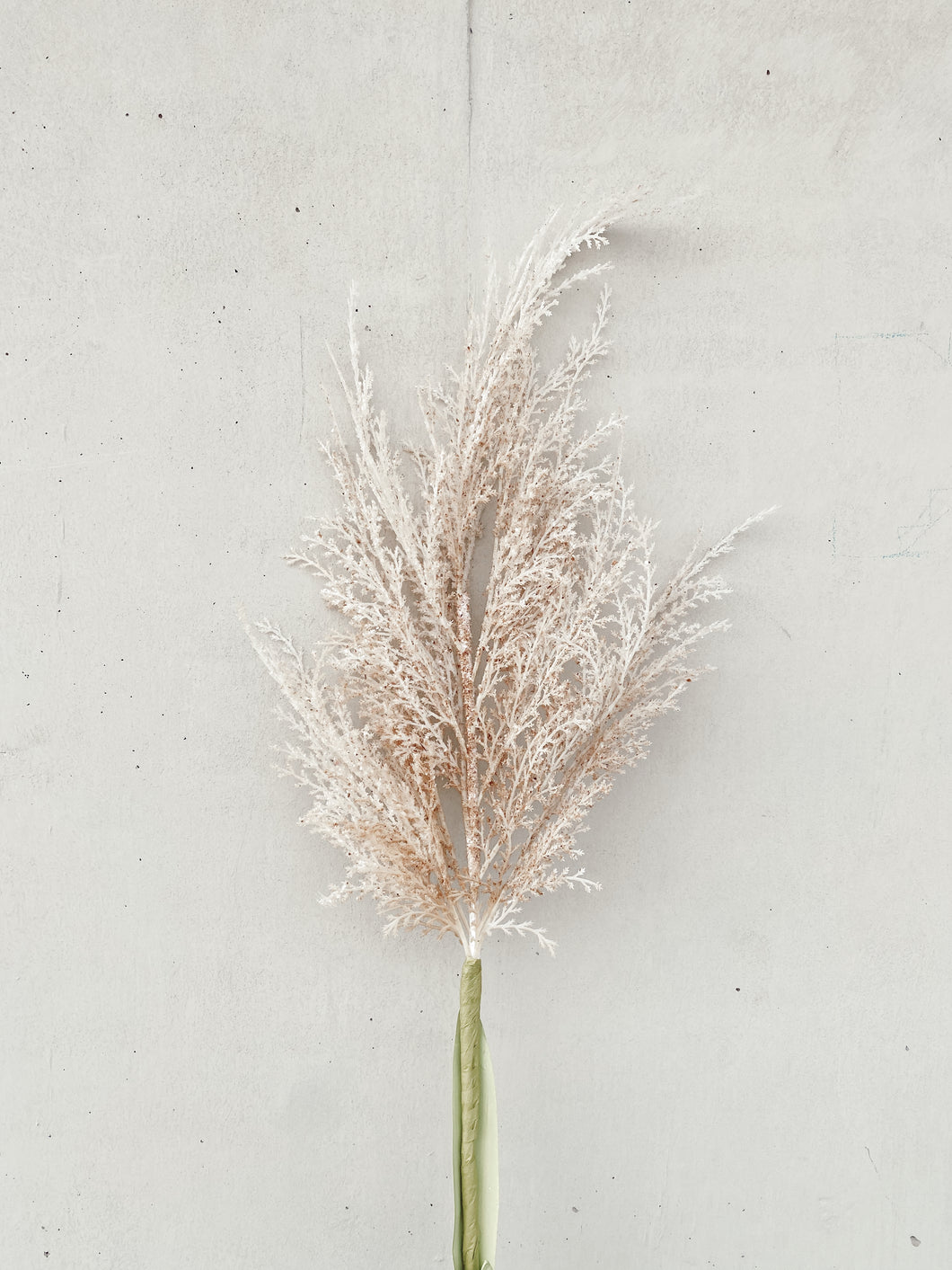 SPRAY DE PAMPAS CHICO CREMA