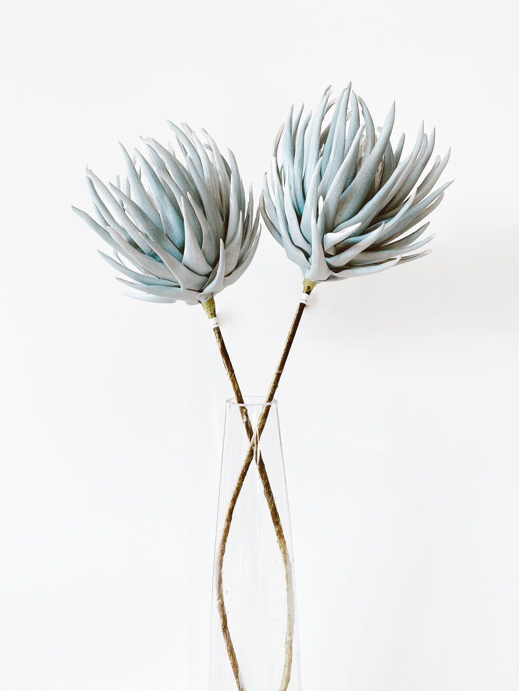 ALCACHOFA